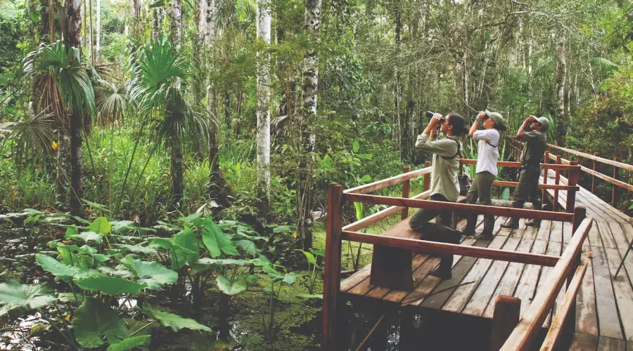 manu-national-park-tour