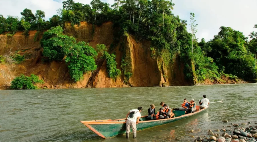 Lush green jungle landscape in the Peruvian Amazon