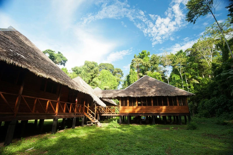 best time to visit manu
